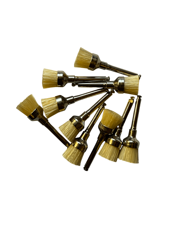 Prophy Brushes - 10pcs